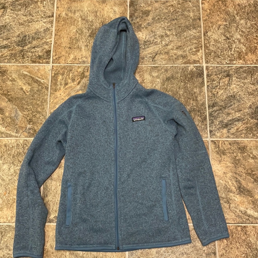 Patagonia Better Sweater Fleece Hoody